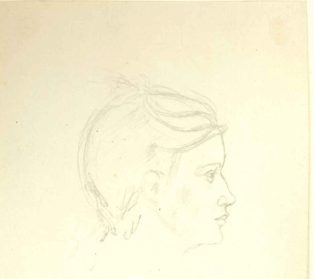 Pigehoved, profil mod højre