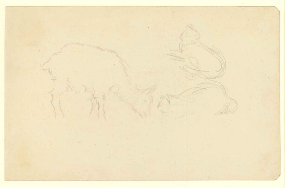 Skitse af gedekid med katte