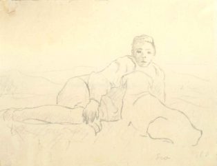 Liggende dreng med hund