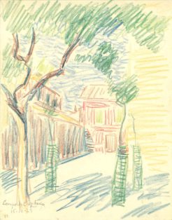 Bymiljø med træer. Campo de Criptana