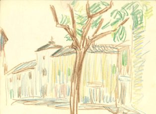 Bymotiv med træ i forgrund. Campo de Criptana