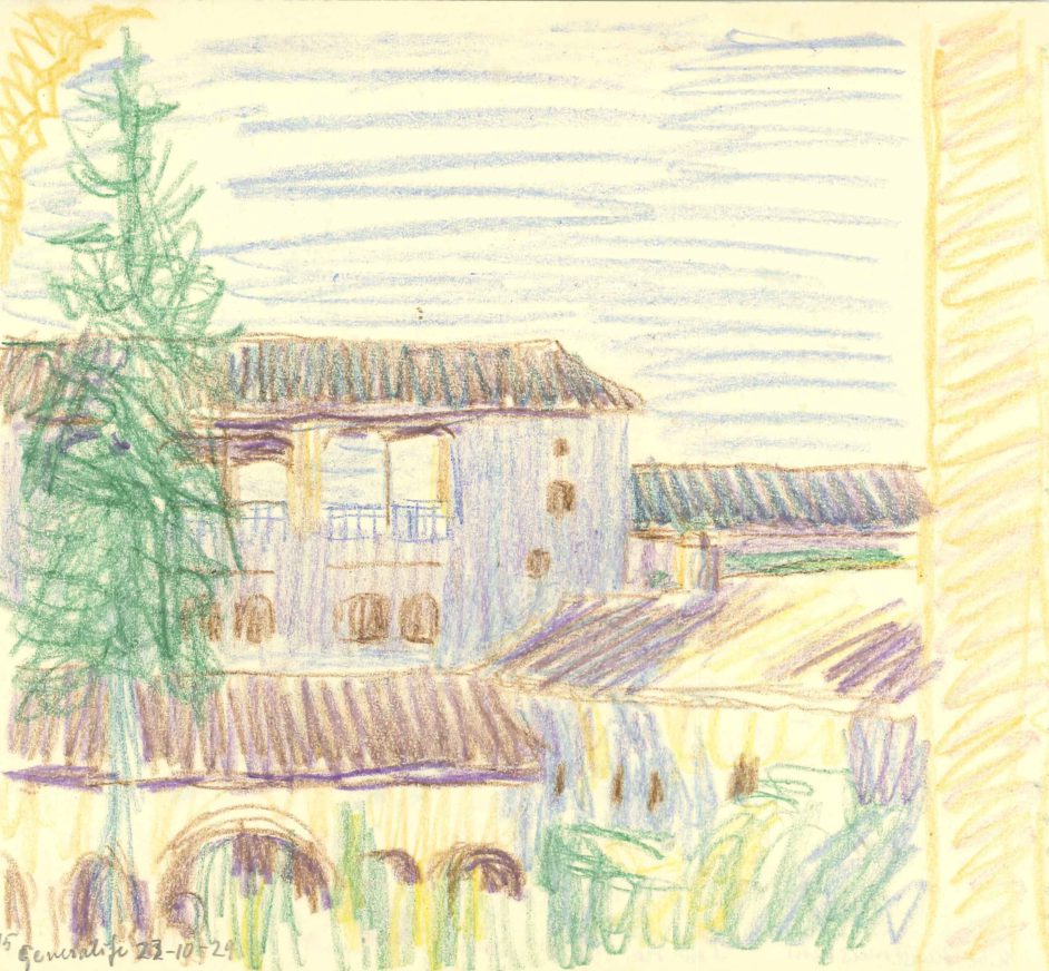 Udsigt med træ i forgrund