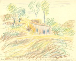 Et glimt af løvegården