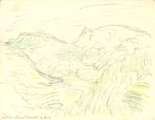 Kohler set mod Schadel