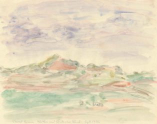 Klitter ved Sønderho, Fanø