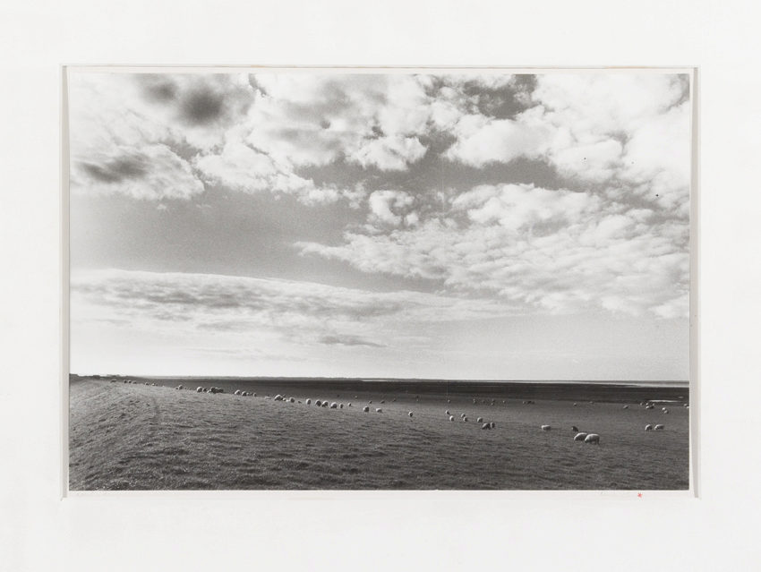 Efterårsdag ved Vadehavet